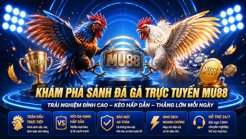 SẢNH ĐÁ GÀ TRỰC TUYẾN MU88,TRẬN ĐẤU KỊCH TÍNH – TỶ LỆ HẤP DẪN – CẬP NHẬT LIÊN TỤC